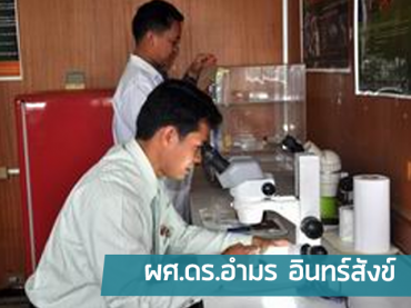 ผศ.ดร.อำมร-อินทร์สังข์