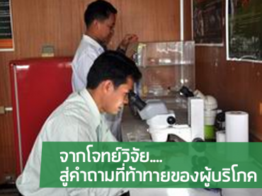 สินค้าจากงานวิจัยไรฝุ่น